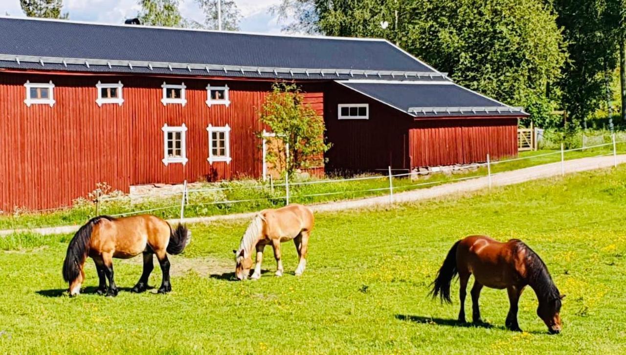 Super Cosy Cottage In Heart Of Dalarna Vastra Fors Eksteriør billede